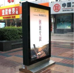 岢嵐木苗在哪賣得火？質(zhì)量與口碑俱佳的選購(gòu)指南